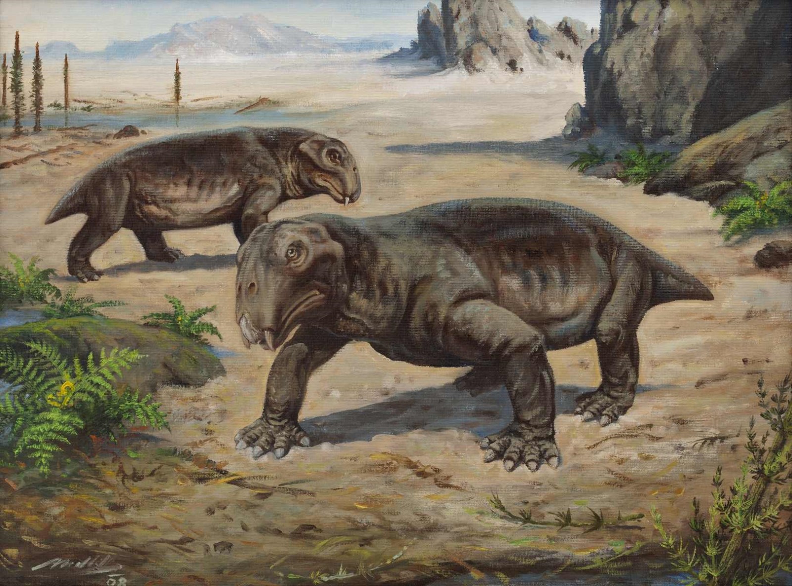 250 млн лет назад какой период. Листрозавр Триасового периода. Терапсиды Триасового периода. Листрозавры (Lystrosaurus),. Листрозавр АРК.