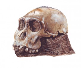 barevný kvaš na kartonu / gouache on cardboard