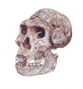 barevný kvaš na kartonu / gouache on cardboard