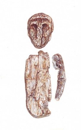 barevný kvaš na kartonu / gouache on cardboard